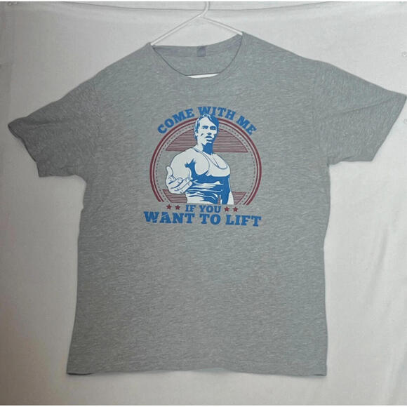 Gildan Other - Gildan Men’s T Shirt Size L  Grey  Gym Lifting Fit Arnold Vintage Style.